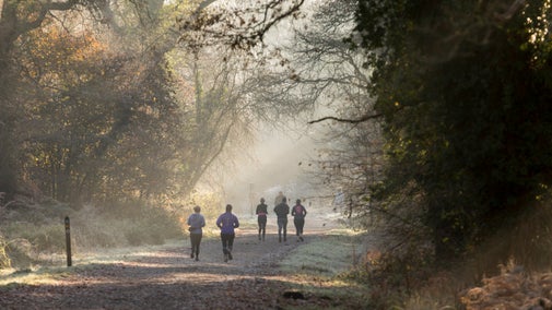Running through the woodland